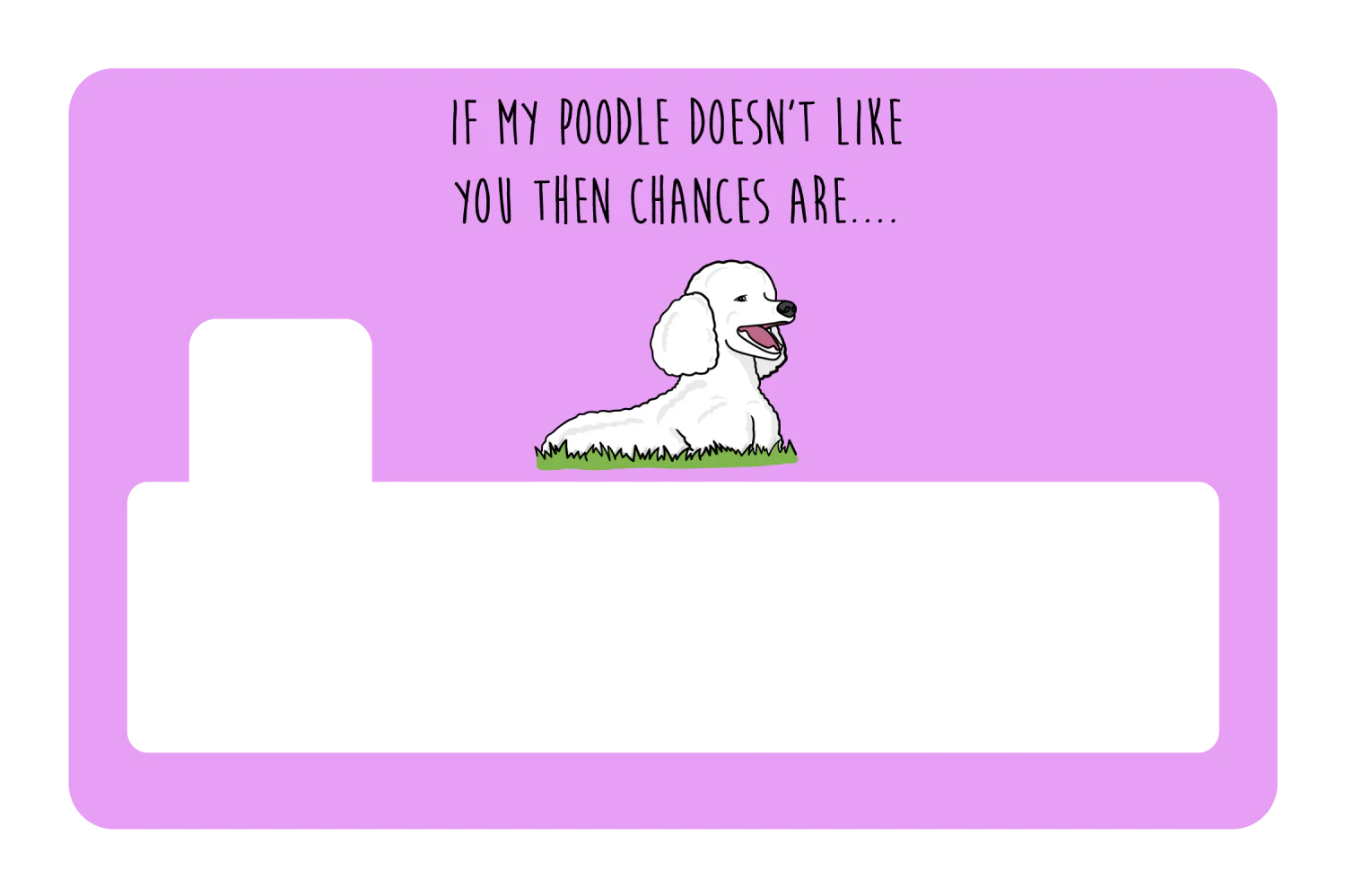 My Poodle don't like you - Image 4