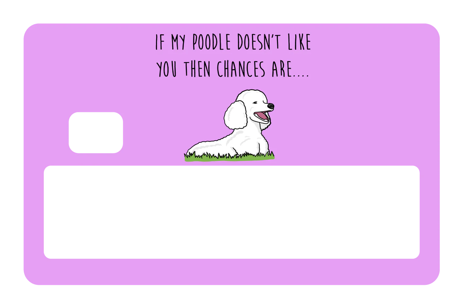 My Poodle don't like you - Image 5