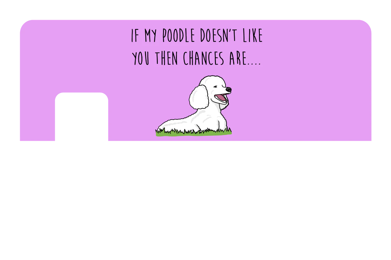 My Poodle don't like you - Image 7